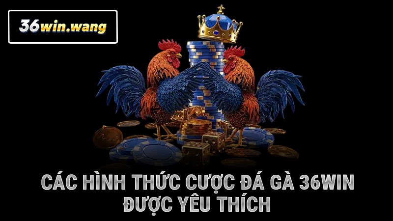 Các hình thức cược đá gà 36WIN được yêu thích