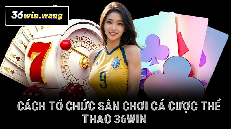 Cách tổ chức sân chơi cá cược thể thao 36WIN