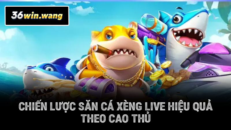 Chiến lược săn cá xèng live hiệu quả theo cao thủ
