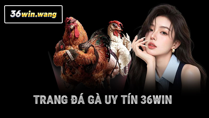 Trang Đá Gà Uy Tín 36WIN
