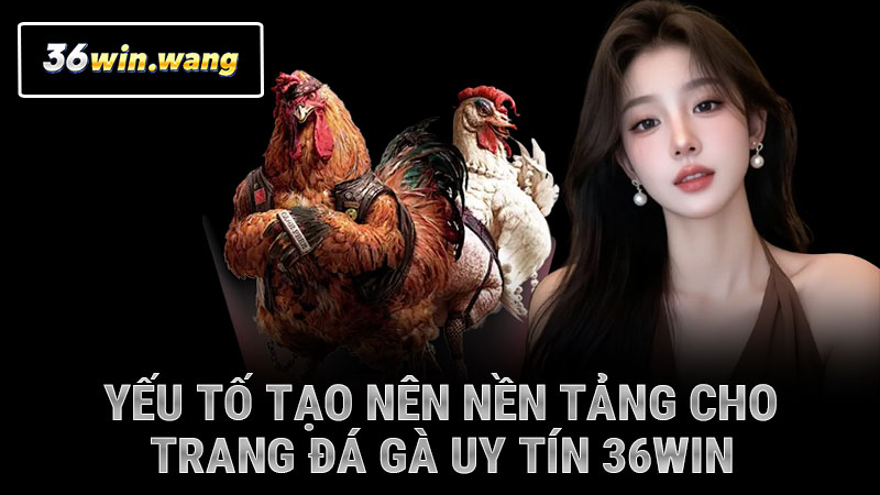 Yếu tố tạo nên nền tảng cho trang đá gà uy tín 36WIN